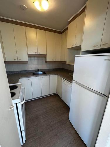 Appartement de 1 chambre à louer à Montréal — photo 2