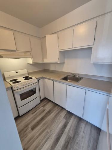 1 bedroom apartment for rent in Gatineau — photo 4