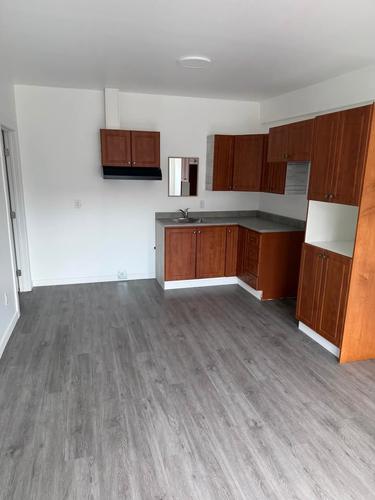 Appartement de 1 chambre à louer à Gatineau — photo 3