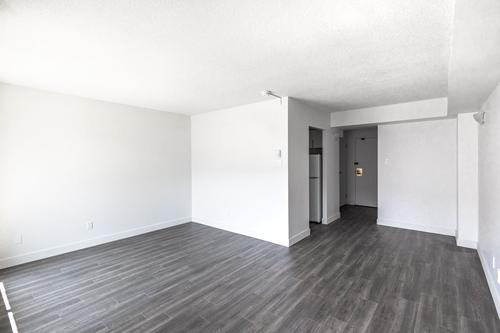 2 bedrooms apartment for rent in Montreal - Le Plateau-Mont-Royal — photo 17