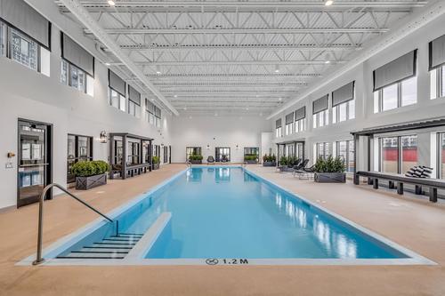 1 bedroom apartment for rent in Lévis — photo 11