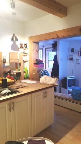 Appartement de 1 chambre à louer à Lévis — photo 5