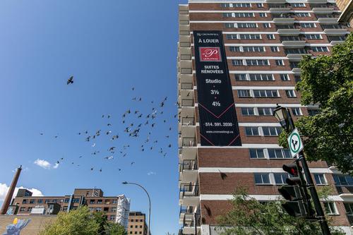 Appartement de 2 chambres à louer à Montreal - Le Plateau-Mont-Royal — photo 3