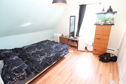 2 bedrooms apartment for rent in Lévis — photo 2