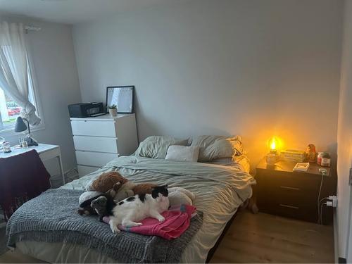 2 bedrooms apartment for rent in Québec - Sainte-Foy–Sillery–Cap-Rouge — photo 4
