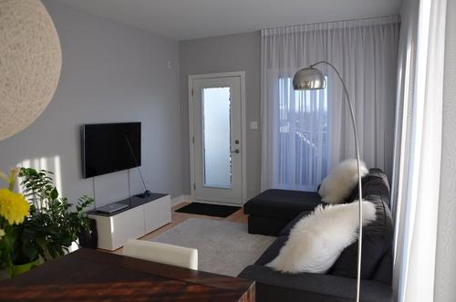 1 bedroom apartment for rent in Montreal - Rosemont–La Petite-Patrie — photo 4