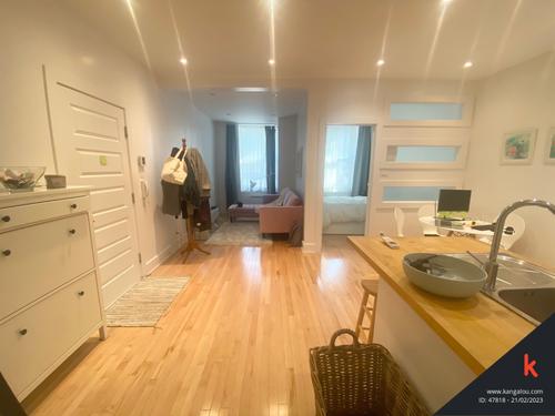 1 bedroom apartment for rent in Montreal - Le Plateau-Mont-Royal — photo 8