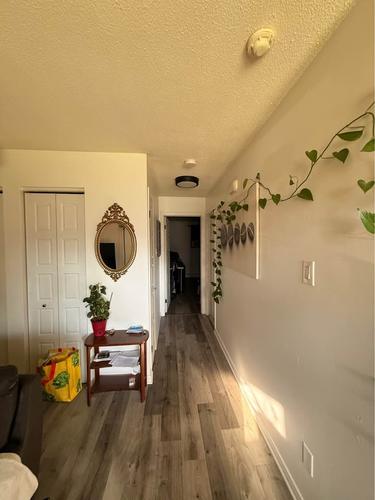 Appartement de 1 chambre à louer à Gatineau — photo 4
