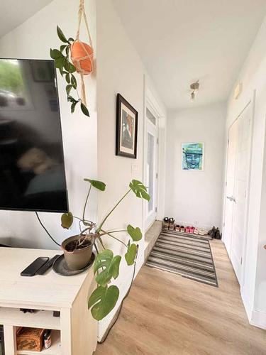 Appartement de 1 chambre à louer à Gatineau — photo 4
