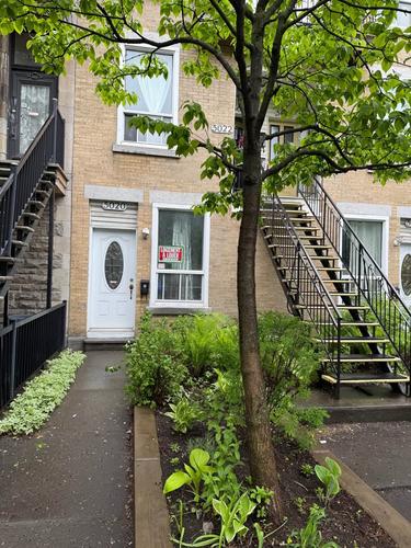 1 bedroom apartment for rent in Montreal - Le Plateau-Mont-Royal — photo 3