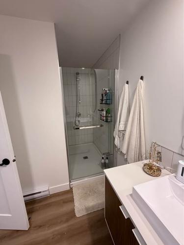 2 bedrooms apartment for rent in Lévis — photo 12