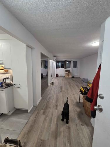 Appartement de 1 chambre à louer à Gatineau — photo 3