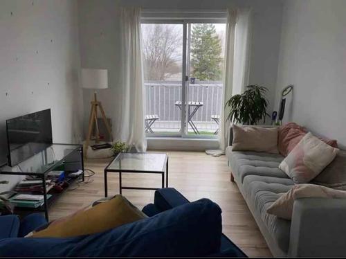 Appartement de 2 chambres à louer à Québec - La Cité-Limoilou — photo 5