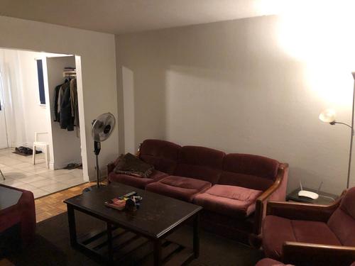 1 bedroom apartment for rent in Gatineau — photo 4