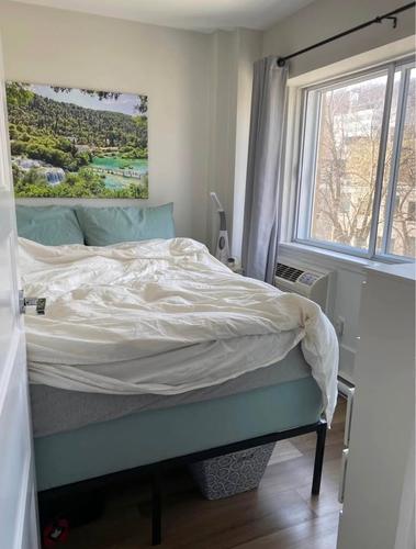 1 bedroom apartment for rent in Montreal - Le Plateau-Mont-Royal — photo 2