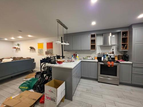 2 bedrooms apartment for rent in Montreal - Le Plateau-Mont-Royal — photo 3