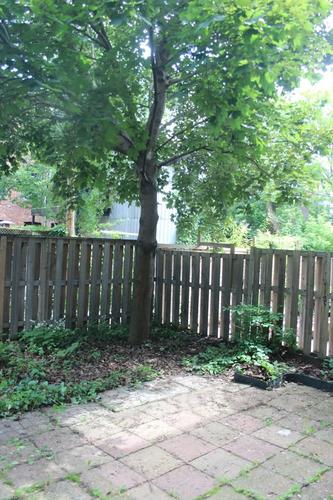 Appartement de 2 chambres à louer à Montreal - Rosemont–La Petite-Patrie — photo 28