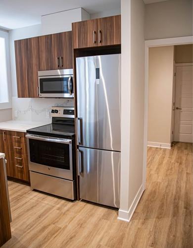 3 bedrooms apartment for rent in Montreal - Le Plateau-Mont-Royal — photo 2