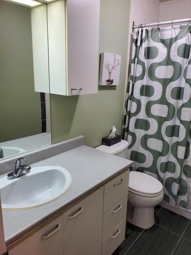 1 bedroom apartment for rent in Lévis — photo 8