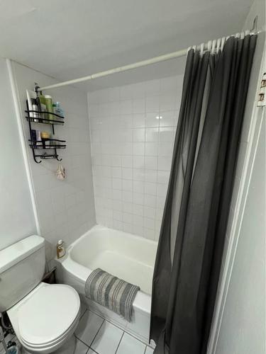 Appartement de 1 chambre à louer à Montreal - Le Plateau-Mont-Royal — photo 8