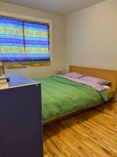 1 bedroom apartment for rent in Montreal - Villeray–Saint-Michel–Parc-Extension — photo 5