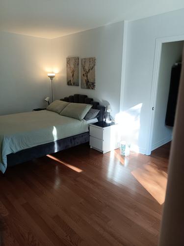 1 bedroom apartment for rent in Laval — photo 7