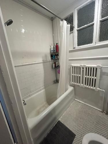 Appartement de 1 chambre à louer à Montreal - Le Plateau-Mont-Royal — photo 4