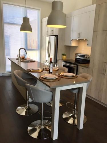 1 bedroom apartment for rent in Montreal - Le Plateau-Mont-Royal — photo 2