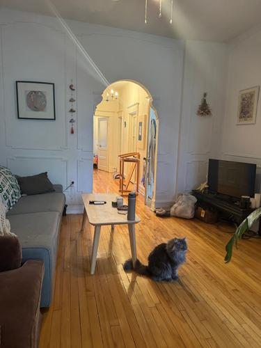 Appartement de 2 chambres à louer à Montreal - Le Plateau-Mont-Royal — photo 12