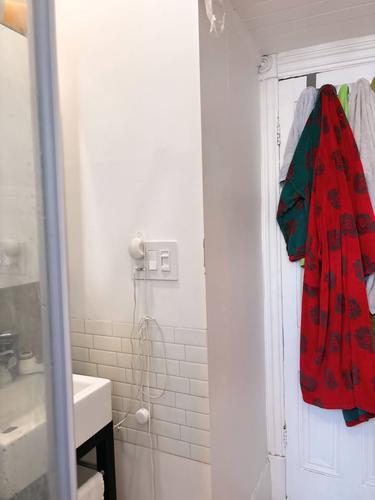 Appartement de 1 chambre à louer à Montreal - Le Plateau-Mont-Royal — photo 11