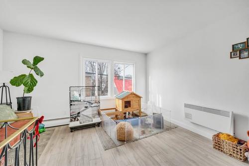 Appartement de 1 chambre à louer à Québec - La Cité-Limoilou — photo 5