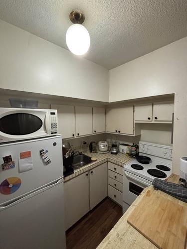 Studio for rent in Montreal - Le Plateau-Mont-Royal — photo 2