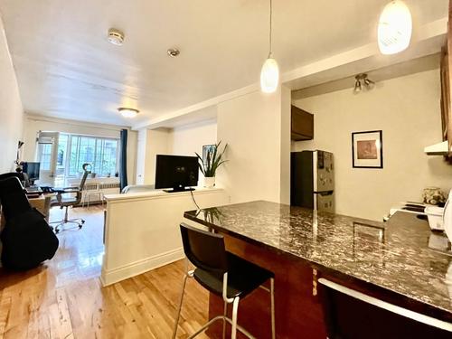 1 bedroom apartment for rent in Montreal - Le Plateau-Mont-Royal — photo 10