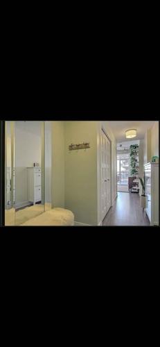 Appartement de 1 chambre à louer à Laval — photo 11