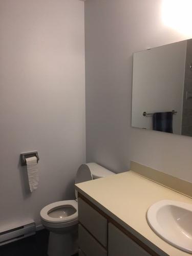 Appartement de 1 chambre à louer à Montreal - Le Plateau-Mont-Royal — photo 7