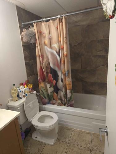 Appartement de 2 chambres à louer à Québec - Sainte-Foy–Sillery–Cap-Rouge — photo 2