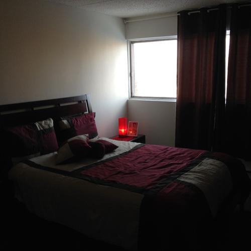 Appartement de 1 chambre à louer à Longueuil — photo 6