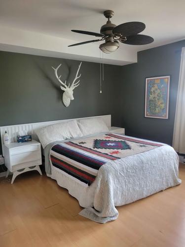 Appartement de 1 chambre à louer à Longueuil — photo 12