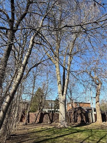 Appartement de 1 chambre à louer à Longueuil — photo 26