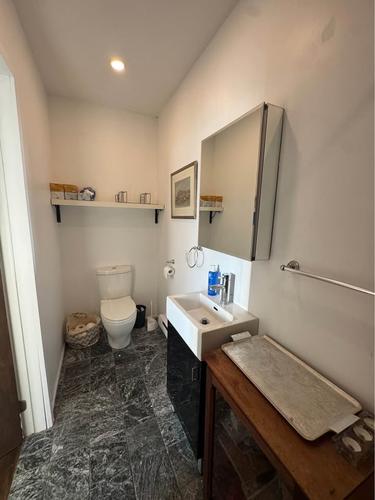 1 bedroom apartment for rent in Montreal - Le Plateau-Mont-Royal — photo 12