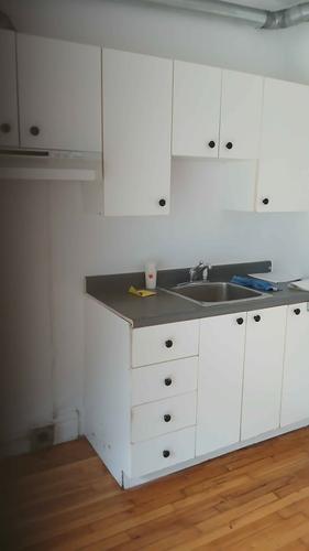 1 bedroom apartment for rent in Montreal - Rosemont–La Petite-Patrie — photo 5