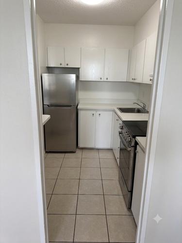 1 bedroom apartment for rent in Montreal - Le Plateau-Mont-Royal — photo 4