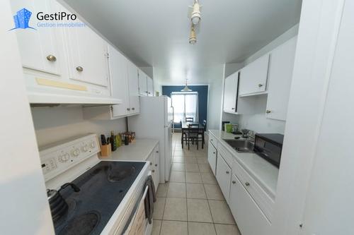 1 bedroom apartment for rent in Lévis — photo 2