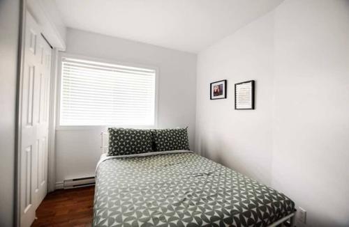 Appartement de 2 chambres à louer à Québec - La Cité-Limoilou — photo 6
