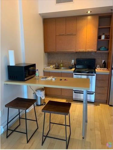 Studio for rent in Montreal - Ville-Marie — photo 5