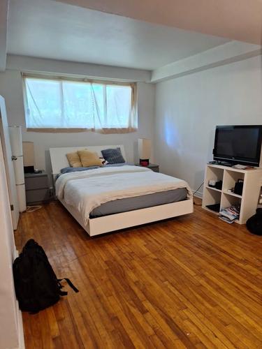 Appartement de 2 chambres à louer à Montreal - Rosemont–La Petite-Patrie — photo 10