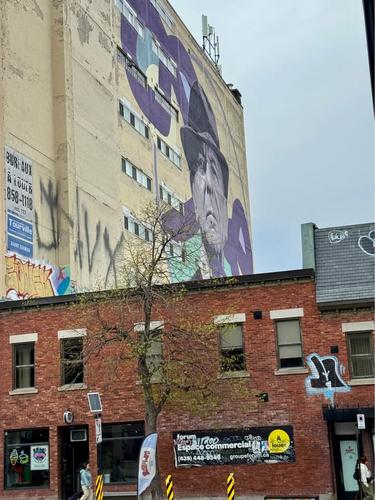 Appartement de 4 chambres à louer à Montreal - Le Plateau-Mont-Royal — photo 6