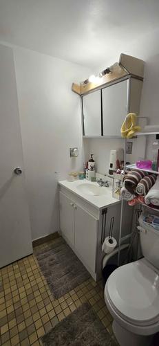 1 bedroom apartment for rent in Montreal - Rosemont–La Petite-Patrie — photo 14
