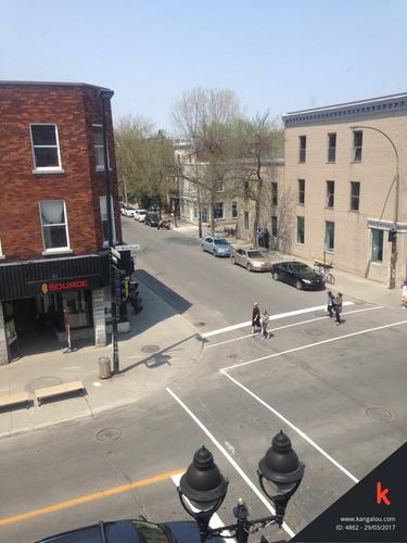 1 bedroom apartment for rent in Montreal - Le Plateau-Mont-Royal — photo 3