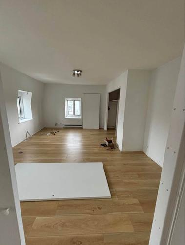 Appartement de 2 chambres à louer à Québec - La Cité-Limoilou — photo 2